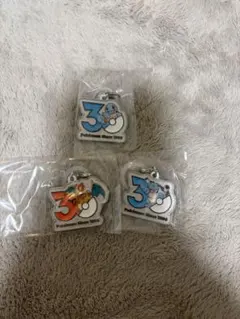 ポケモン 30周年 メタルチャームマスコット ゼニガメ リザードン カメックス