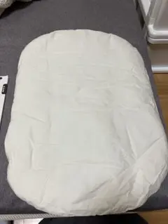 Item thumbnail for item 4bdb1a9e-d7e7-4c13-b609-cfb19d3d83db