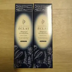 ECLAT エアカラー フォーム ナチュラルブラック 150g✖️2本 2026年最新】ボタニカルエアカラーフォーム 150gの人気アイテム - メルカリ