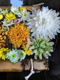 Aenarion様 リクエスト 2点 まとめ商品