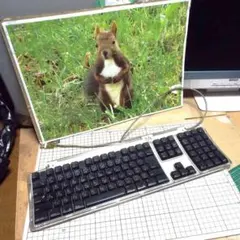 Item thumbnail for item 52933a76-0faa-4d66-b9d9-a195c0f94de5