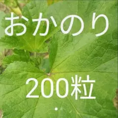 Toshi様 リクエスト 2点 まとめ商品