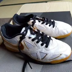 Item thumbnail for item f46abb09-dc98-4dd1-9ac8-a9668acbc01f