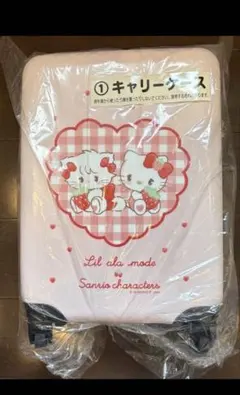未開封 ハローキティキュートなオカリナ ２つ Hello Kitty サンリオ 未開封 ハローキティキュートなオカリナ 2つ Hello Kitty サンリオ