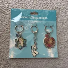 新品未開封東京ディズニーリゾートアナと雪の女王キーチェーン