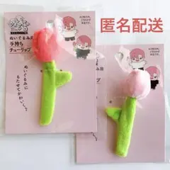 ぬい活　セリア　ヲタコレシリーズ　ぬいぐるみ用手持ちチューリップ　赤・ピンクのサムネイル