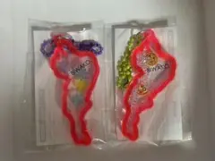 びわこキーホルダー 2個セット