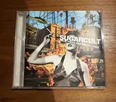 sugarcult palm trees and power lines