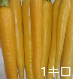 カラフル人参1キロ黄色のみのサムネイル