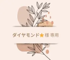 ダイヤモンド⭐️様　専用