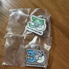 ポケモン 30周年 メタルチャームマスコット