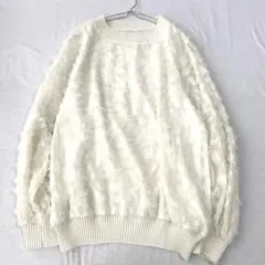 フリンジブラウス プルオーバー クルーネック 裏地付き 袖透け感 F