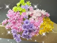 スターフラワーミニカラー94本レジン、ハーバリウムボールペンなどに（在庫終了）