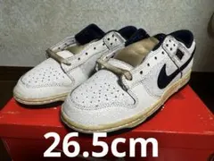 Stranger Things × Nike Dunk Low 