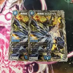 飛翔龍 5000VT 銀トレジャー 2枚