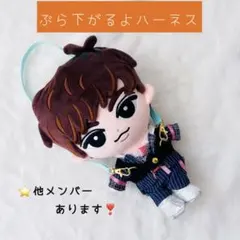 ⭕️即購入可/すのチルぶら下がらないシリーズ BIGぬいぐるみ♡紛失
