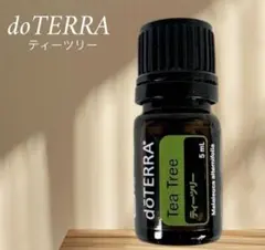 doTERRA ドテラ エッセンシャルオイル 5ml ティーツリー ③のサムネイル