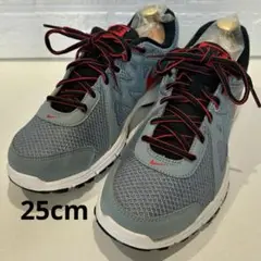 【美品】Nike ランニングシューズ 赤/水色　25センチ　NIKE シューズ
