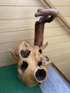 2025年最新】キジ 剥製の人気アイテム - メルカリ