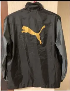 ナイロンジャケット PUMA プーマ 150センチ