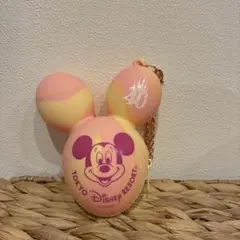 ディズニーリゾート　バルーン型　シリコンポーチ　キーホルダー　40周年