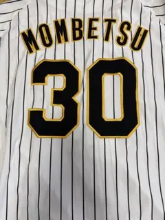 Item thumbnail for item 275cf333-e3bd-4127-a2d2-34adf19e9c39