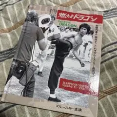 ブルース・リー 全初版 本宮プロ 燃えよドラゴン/ドラゴン 怒りの鉄拳 危機一発 ブルース・リー 全初版 本宮プロ 燃えよドラゴン/ドラゴン 怒りの鉄拳