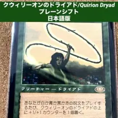 MTG クウィリーオンのドライアド 日本語版 2枚セット PLS - メルカリ