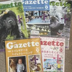 2026年最新】ガゼット 未成年の人気アイテム - メルカリ
