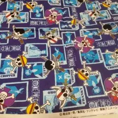 レア♥ワンピース キャラクター プリント生地