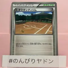 ヒオウギシティジム　(ヨーテリー) 1枚　pcx401