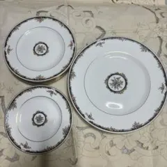 WEDGWOOD OSBORNE 16枚セット大皿、中皿のサムネイル