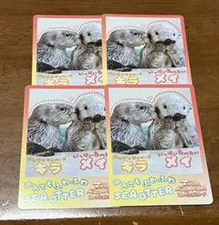 す*ー様 【激レア】鳥羽水族館 とばすいコレカ2 とばすい赤ちゃん大
