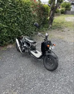 ズーマー AF58 50cc 原付 HONDA ロンホイ 神奈川県 横浜市 - メルカリ