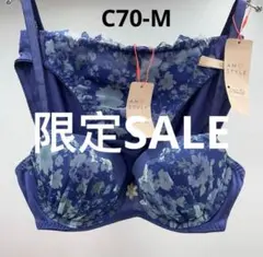 ブラジャーショーツセット c70