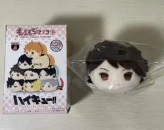 ハイキュー もちもちマスコット Vol.4 及川徹