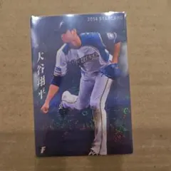2026年最新】プロ野球チップスカード 大谷 2014の人気アイテム - メルカリ
