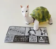 灰色メロン★時空的漂流 ナゾパゴス島★アルパカメ