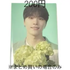 SEVENTEEN HANABI トレカ ディノ 13