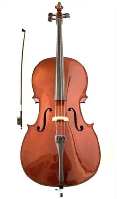 cremonaバイオリン Shinobu Sakamoto, Italy - Cremona, 2010 - 弦楽器