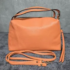 GIANNI CHIARINI ジャンニキャリーニ アリファ 2Way