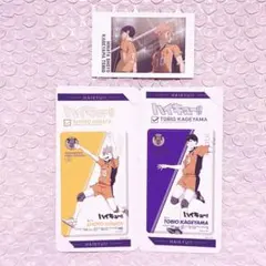 ハイキュー‼︎ 日向翔陽 影山飛雄 グッズ