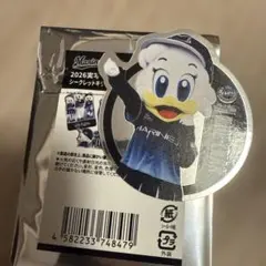 千葉ロッテマリーンズ リーンちゃん キラキラステッカー BSW ロッテ