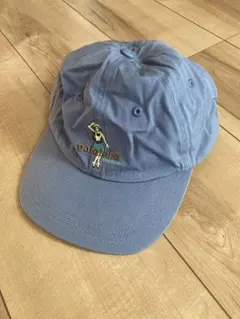 2025年最新】パタゴニア キャップ ハワイの人気アイテム - メルカリ