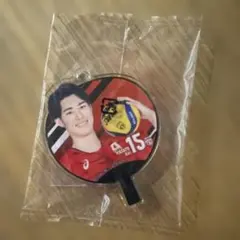 バレーボール選手キーホルダー 甲斐選手15番