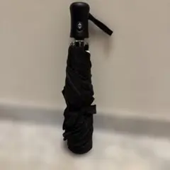 Item thumbnail for item 1bc231d4-79ab-4dbc-b87b-4856a06a219e