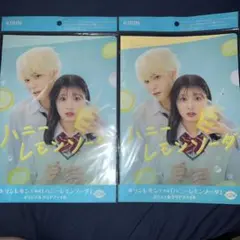 Item thumbnail for item 0a95feed-530c-43f3-8f6d-e7de2a42f6a0