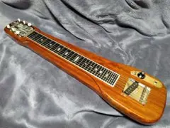 2026年最新】vanzandt ギターの人気アイテム - メルカリ