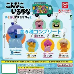 こんなこいるかな めじるしアクセサリー2 全6種コンプリート ガチャ