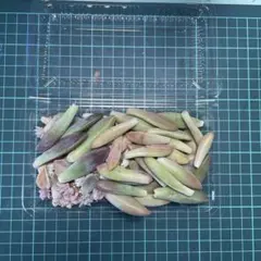 ハッピーバイ♪  (プロフ必読感謝☆)様 リクエスト 2点 まとめ商品